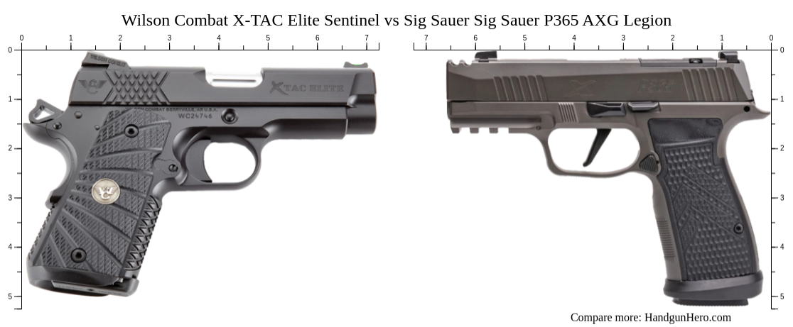 Wilson Combat X Tac Elite Sentinel Vs Sig Sauer P Axg Legion Size