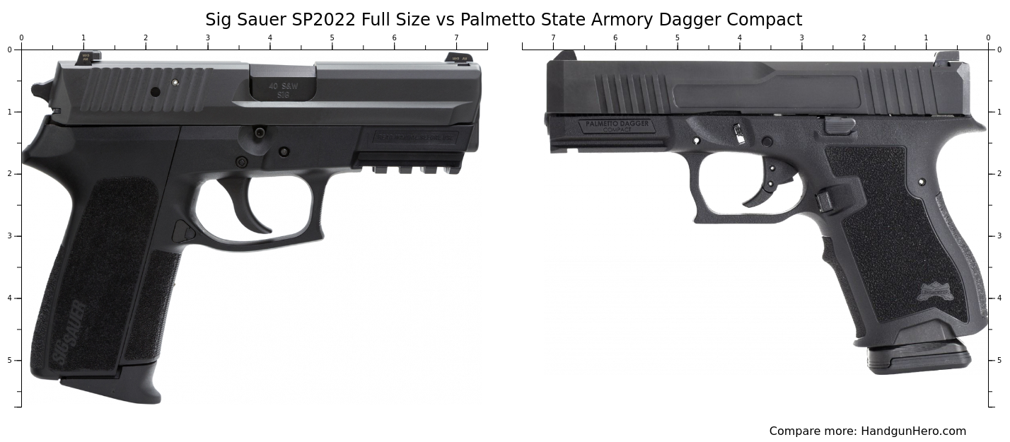 Sig Sauer Sp Full Size Vs Palmetto State Armory Dagger Compact Size