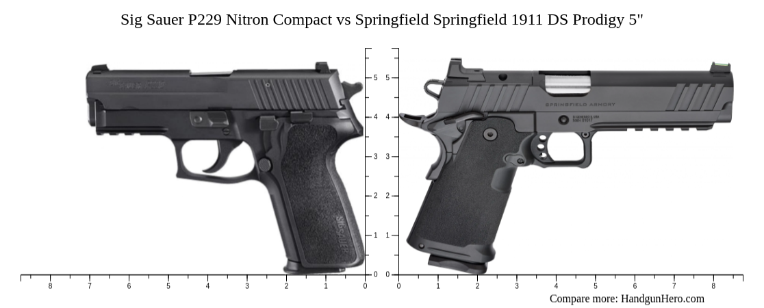 Sig Sauer P229 Nitron Compact Vs Springfield Springfield 1911 DS