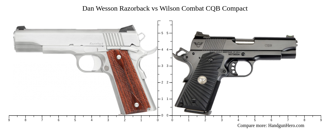 Dan Wesson Razorback Vs Wilson Combat CQB Compact Size Comparison