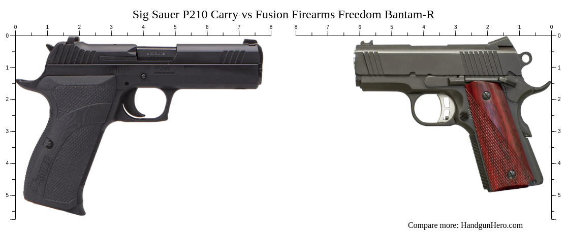Sig Sauer P210 Carry vs Fusion Firearms Freedom Bantam-R size ...