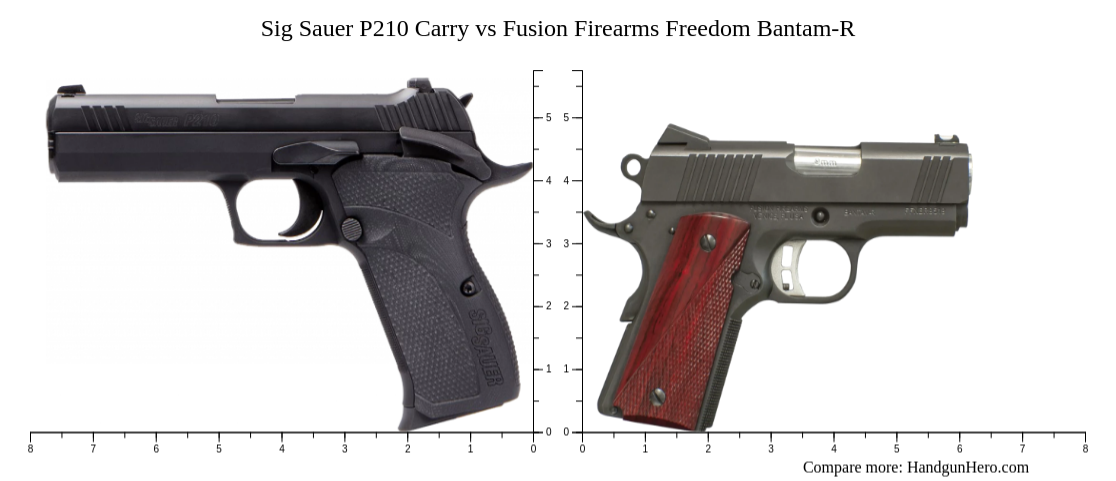 Sig Sauer P210 Carry vs Fusion Firearms Freedom Bantam-R size ...
