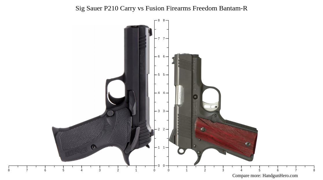 Sig Sauer P210 Carry vs Fusion Firearms Freedom Bantam-R size ...