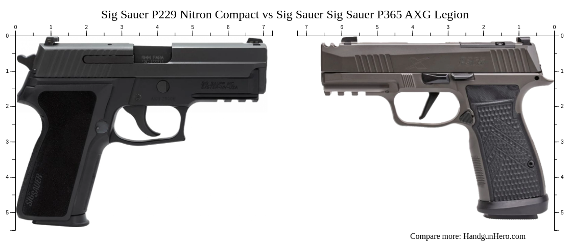 Sig Sauer P229 Nitron Compact vs Sig Sauer P365 AXG Legion size ...