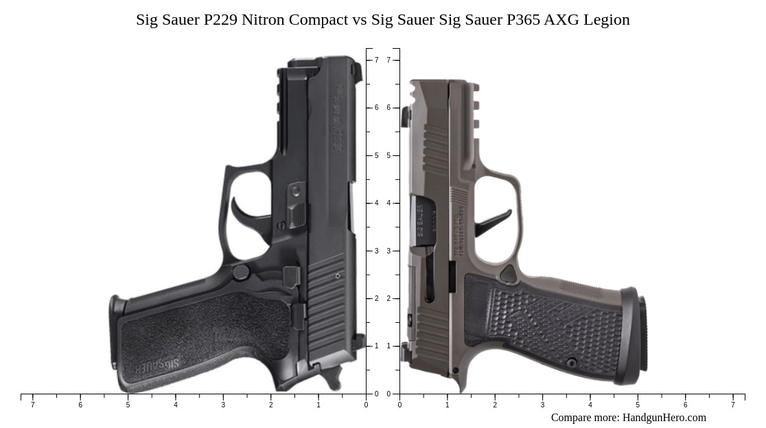 Sig Sauer P229 Nitron Compact vs Sig Sauer P365 AXG Legion size ...