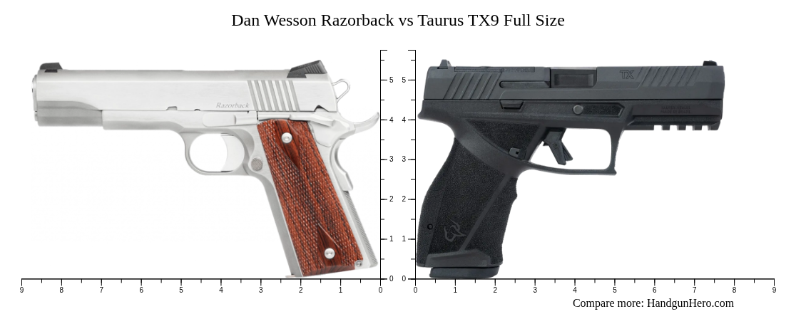 Dan Wesson Razorback vs Taurus TX9 Full Size size comparison | Handgun Hero