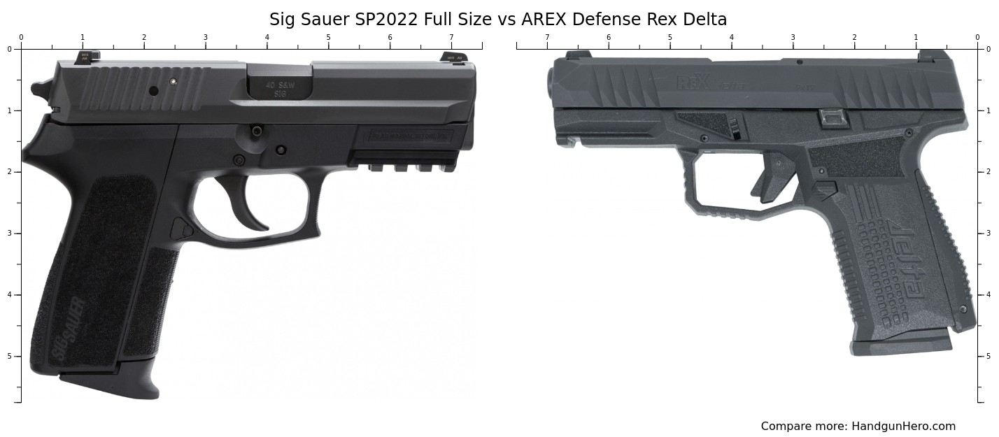 Sig Sauer SP2022 Full Size vs AREX Defense Rex Delta size comparison ...