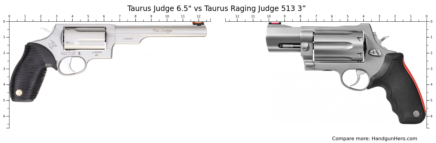 Taurus Judge 6.5