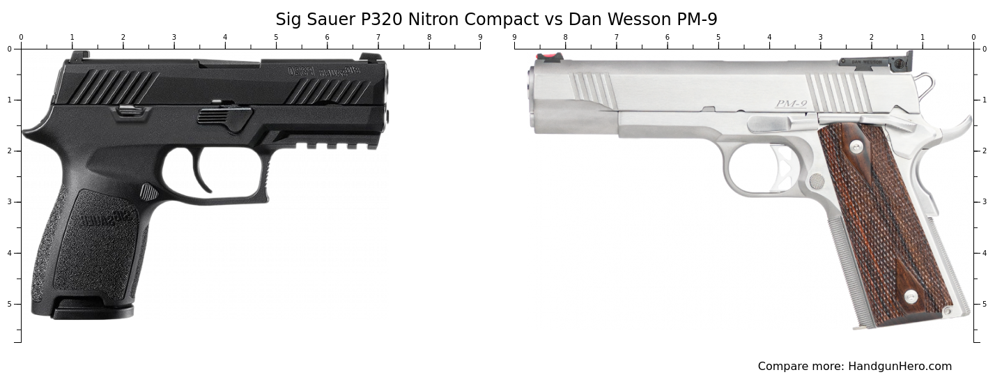 Sig Sauer P320 Nitron Compact Vs Dan Wesson Pm 9 Size Comparison Handgun Hero