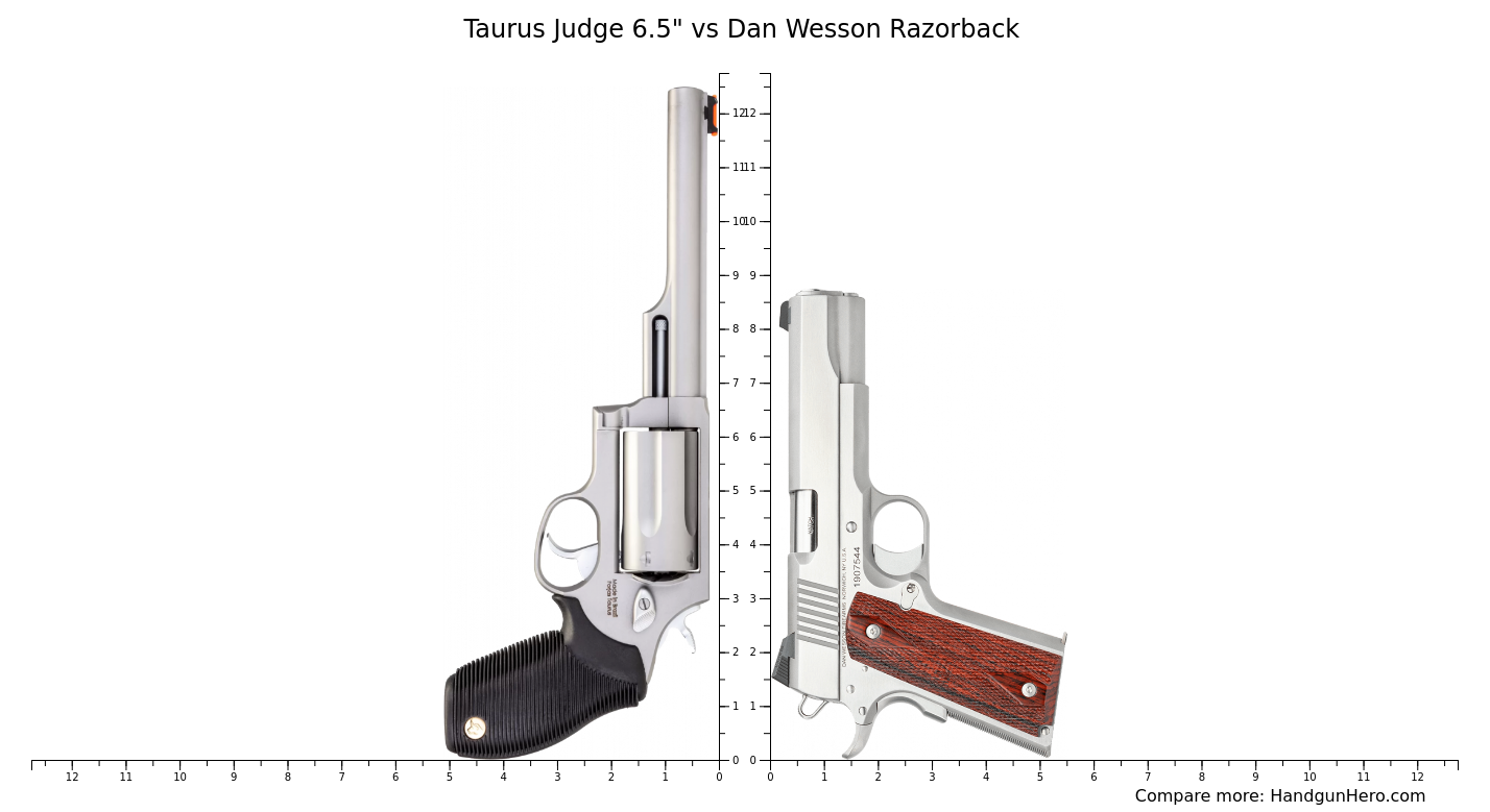 Taurus Judge 6.5