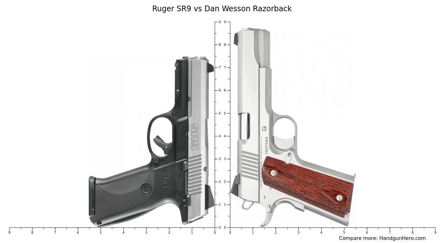Ruger SR9 vs Dan Wesson Razorback size comparison | Handgun Hero