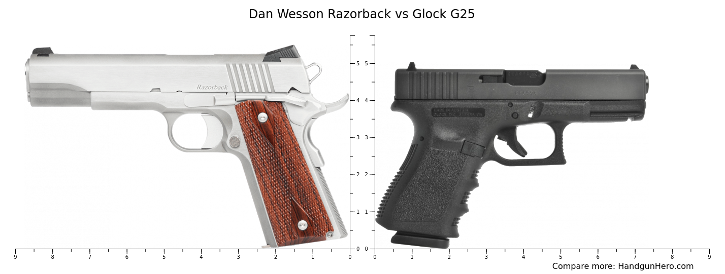 Dan Wesson Razorback vs Glock G25 size comparison | Handgun Hero