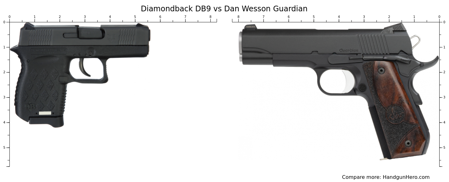 Diamondback DB9 vs Dan Wesson Guardian size comparison | Handgun Hero