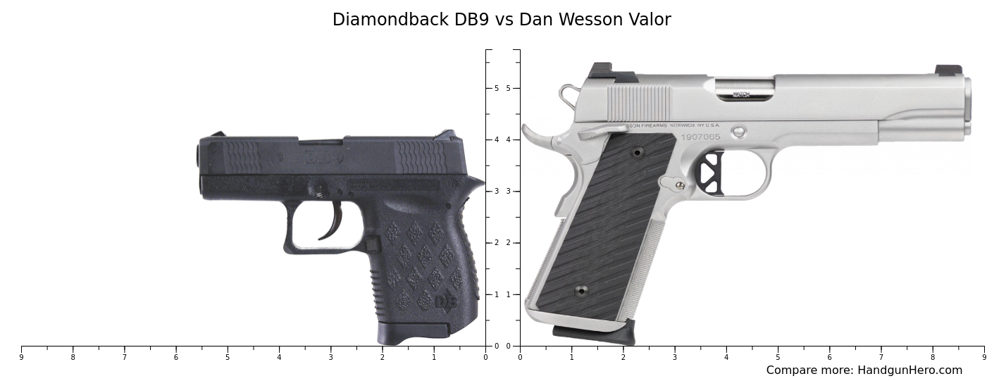 Diamondback DB9 vs Dan Wesson Valor size comparison | Handgun Hero
