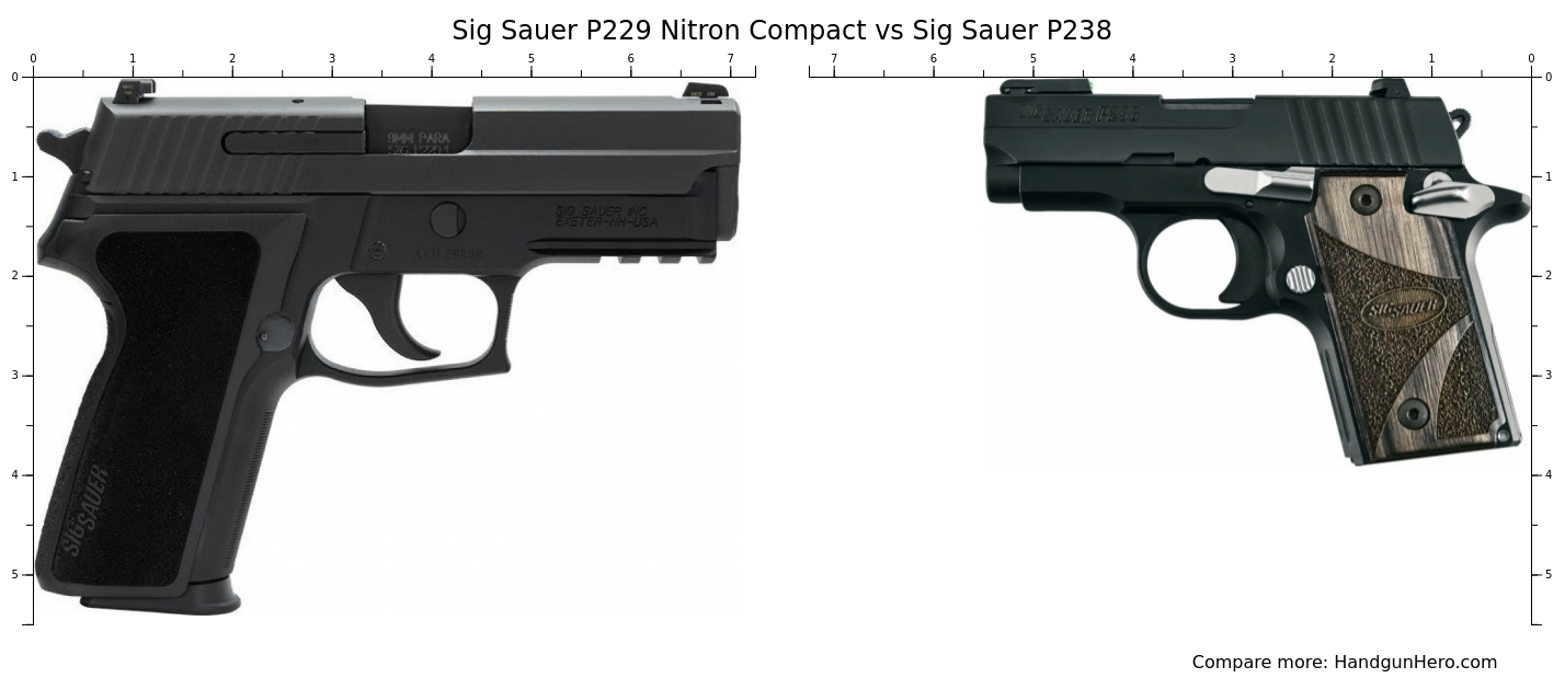 Sig Sauer P229 Nitron Compact Vs Sig Sauer P938 Nitron Vs Sig Sauer P238 Vs Ruger Lcp Max Size 6738