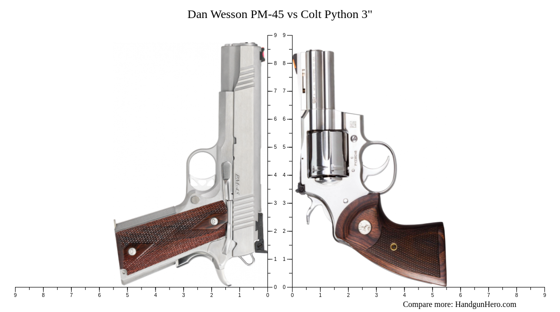 Dan Wesson Python Dan Wesson PM-45 vs Colt Python 3