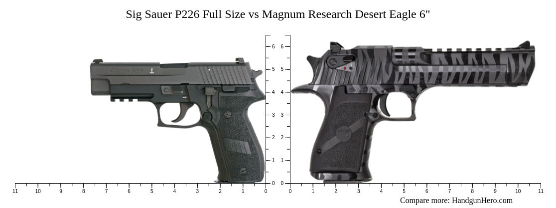 Sig Sauer P226 Full Size vs Magnum Research Desert Eagle 6