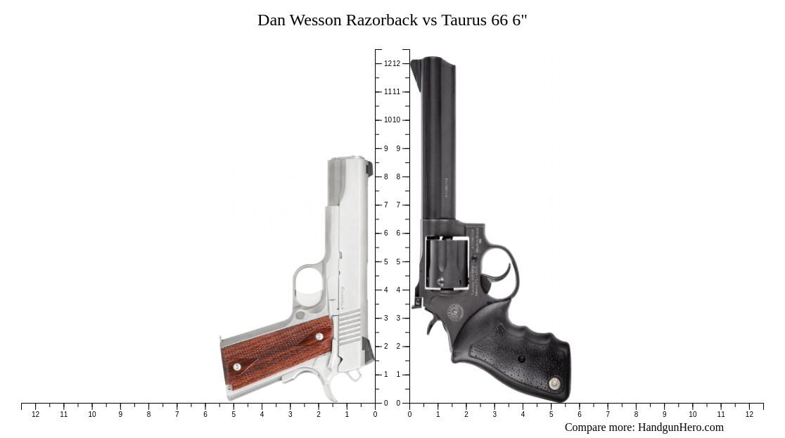 Dan Wesson Razorback vs Taurus 66 6