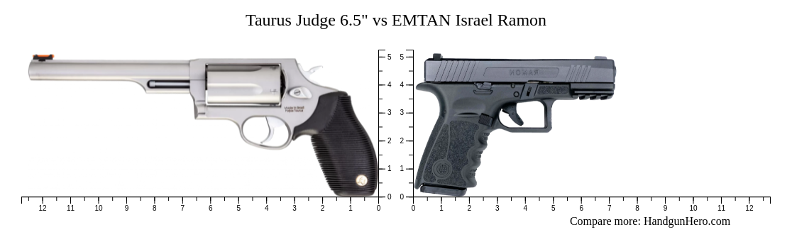 Judge Israel Ramon Taurus Judge 6.5