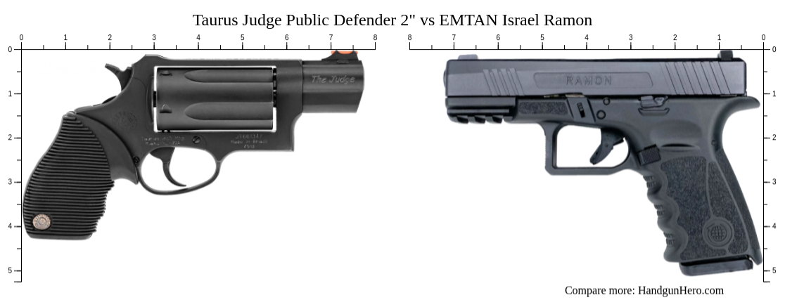 Judge Israel Ramon Taurus Judge Public Defender 2