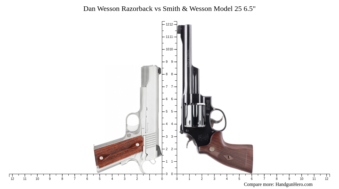 Dan Wesson Razorback vs Smith & Wesson Model 25 6.5