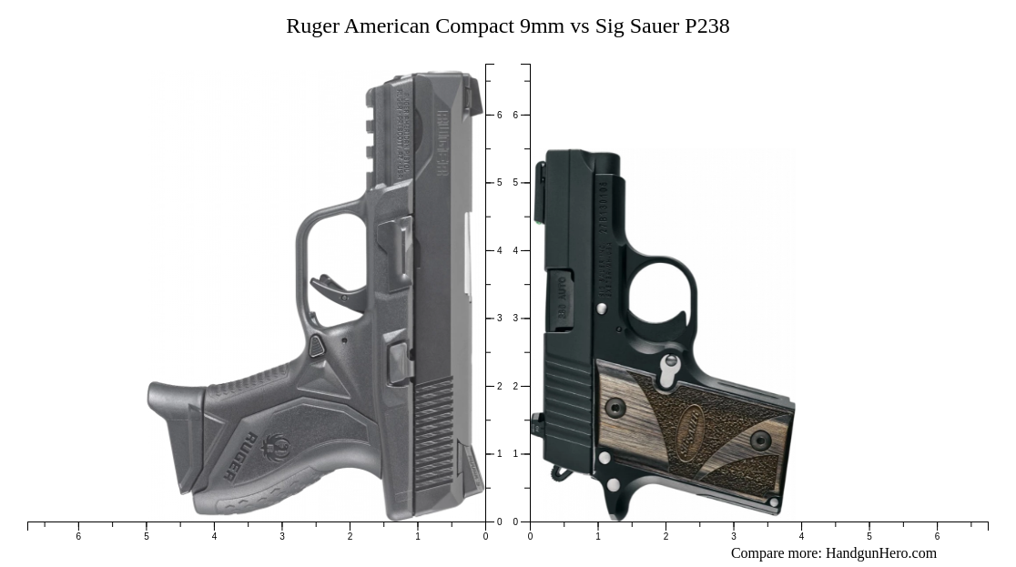 Ruger American Compact 9mm vs Sig Sauer P238 size comparison | Handgun Hero