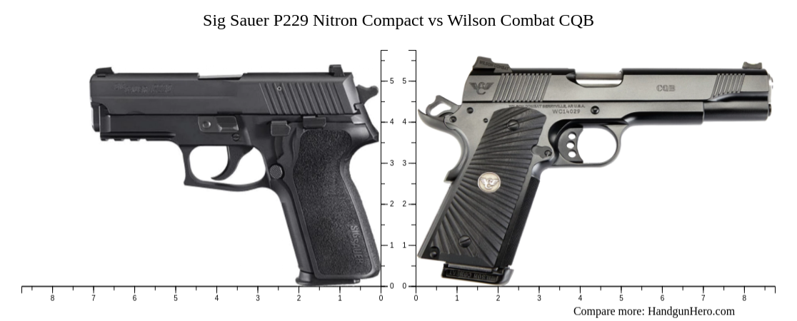 Sig Sauer P229 Nitron Compact vs Wilson Combat CQB size comparison ...