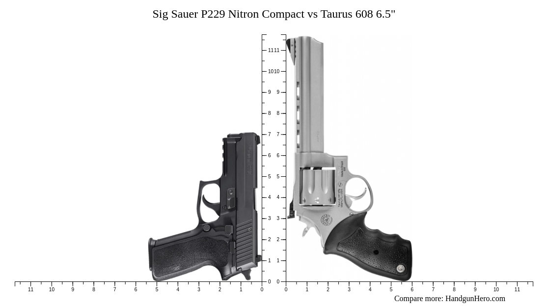 Sig Sauer P229 Nitron Compact Vs Taurus 608 6 5 Size Comparison Handgun Hero