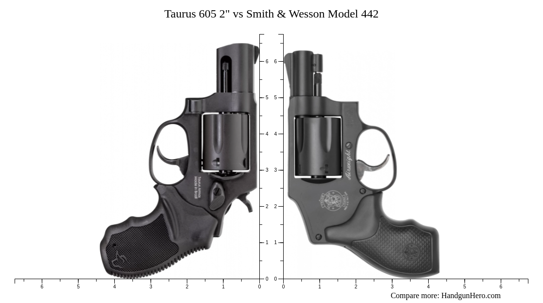 Taurus 605 2