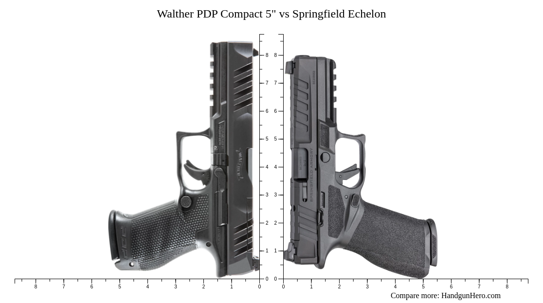 Walther Pdp Compact 5 Vs Springfield Echelon Size Comparison Handgun