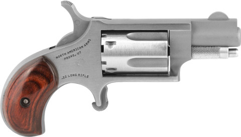 North American Arms 22LR facing right
